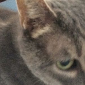 Meet your Posher, Brenda